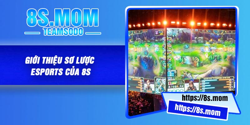 Giới Thiệu Sơ Lược Esports Của 8S
