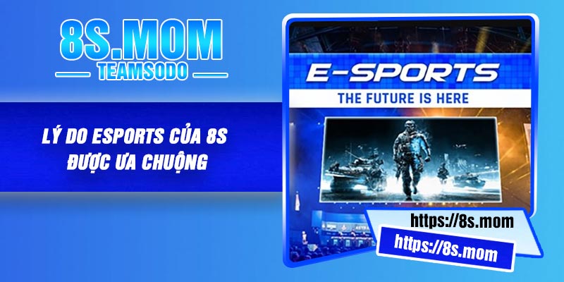 Lý Do Esports Của 8S Được Ưa Chuộng